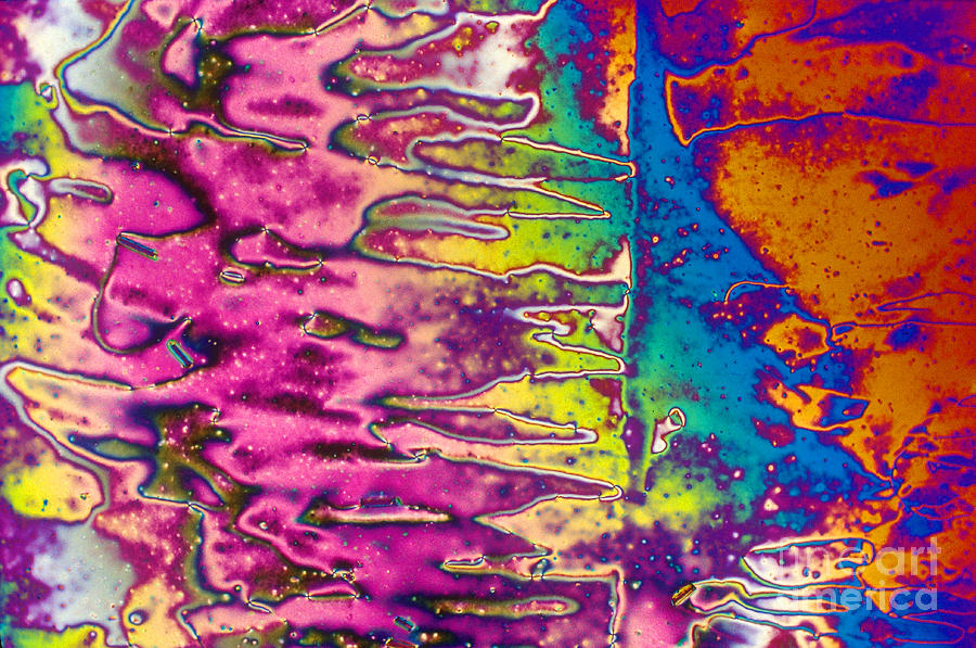 Liquid Crystal Display Photograph by Michael W. Davidson