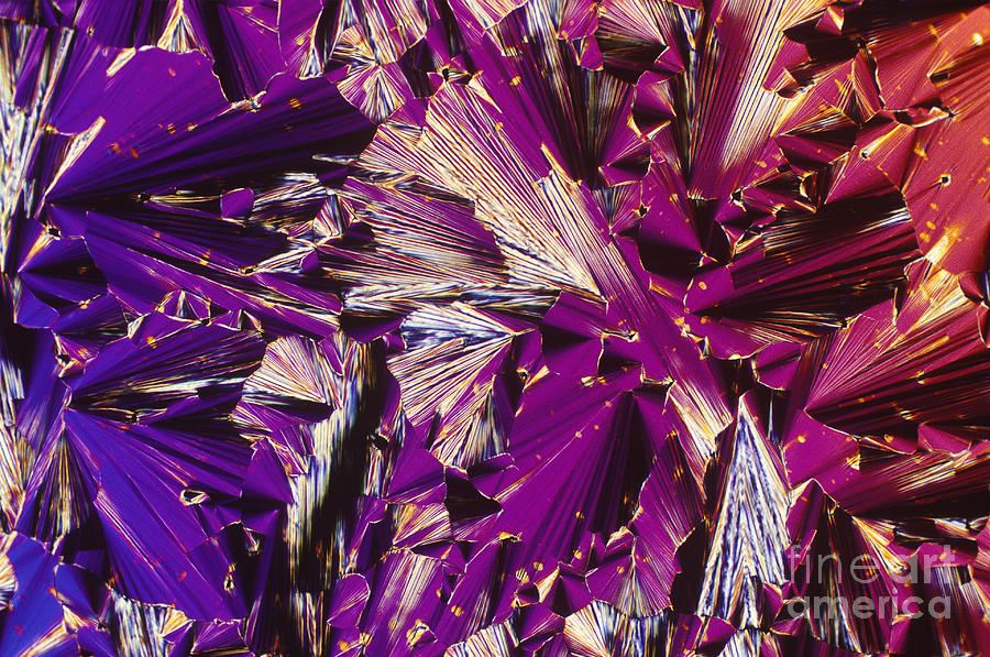 Liquid Crystalline Dna Photograph by Michael W. Davidson