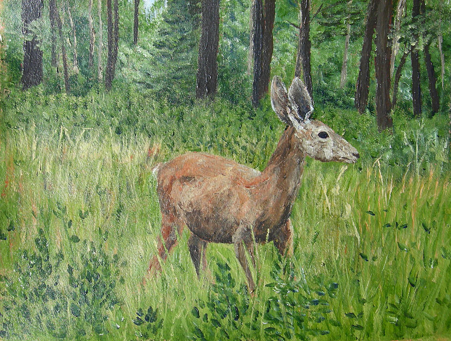 Deer Painting - Listening by Margie Perry