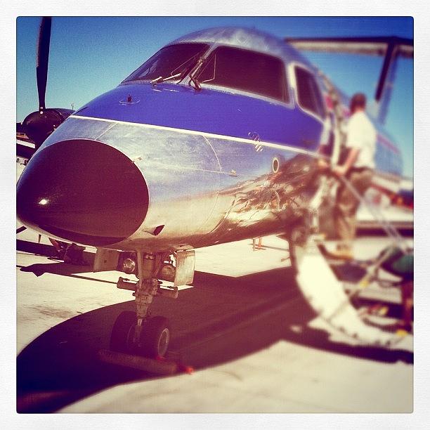 Little Ass Plane To Palm Springs Lol Photograph by Lianne Farbes
