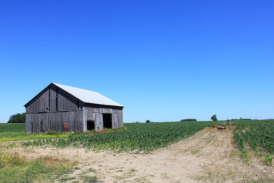 Little Barn on the Prairie Photograph by Sheryl Burns