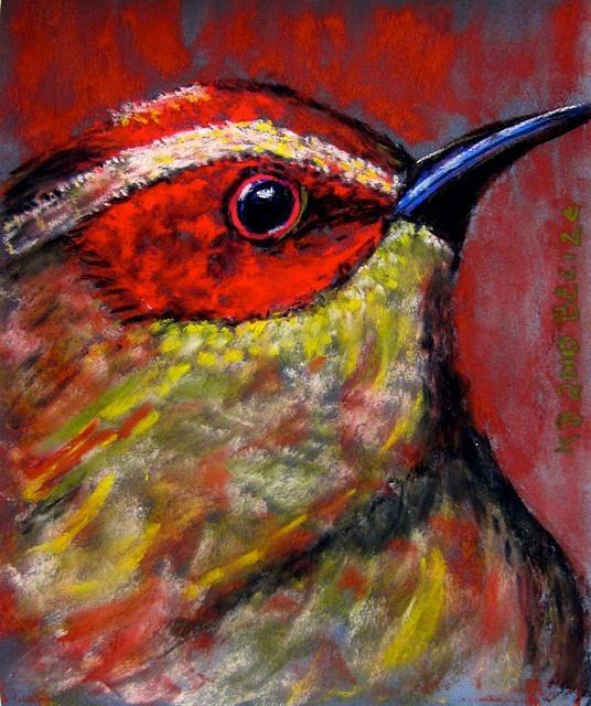 Little Belize Bird Painting by Kathryn Barry