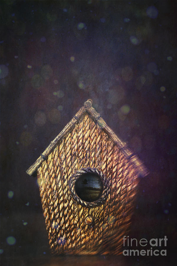 Little bird house Photograph by Sandra Cunningham