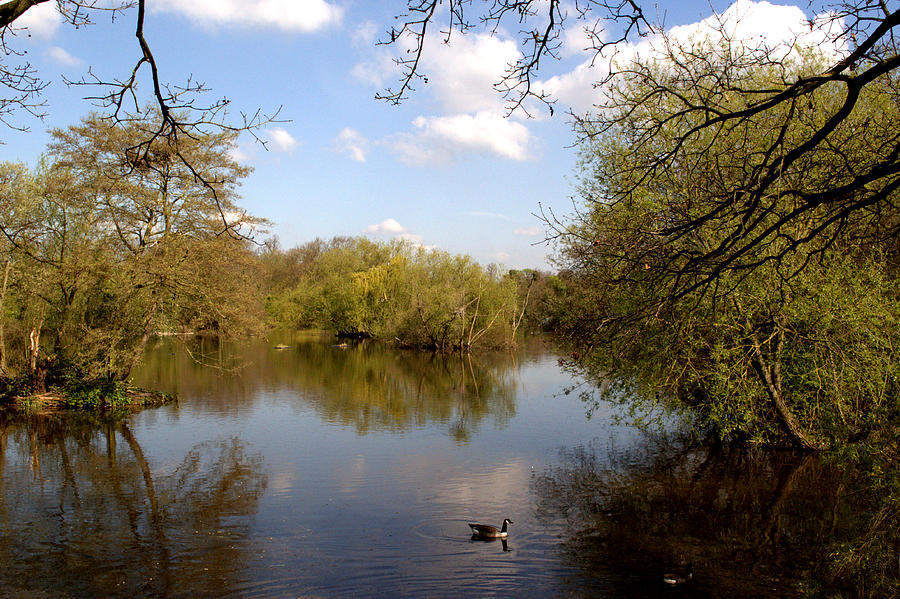 Little Britain Lake Photograph by Chris Day