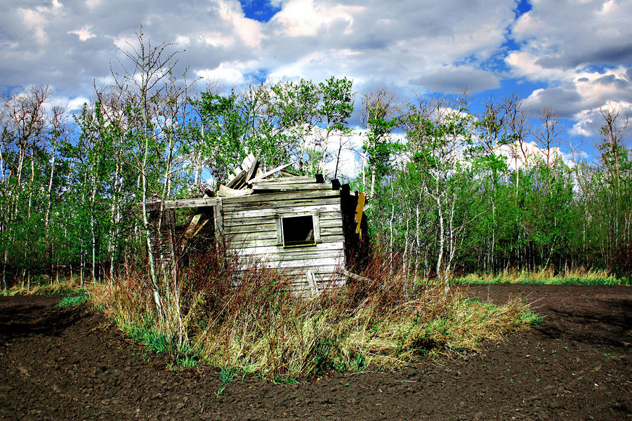 Little Broken House Photograph by Empty Wall