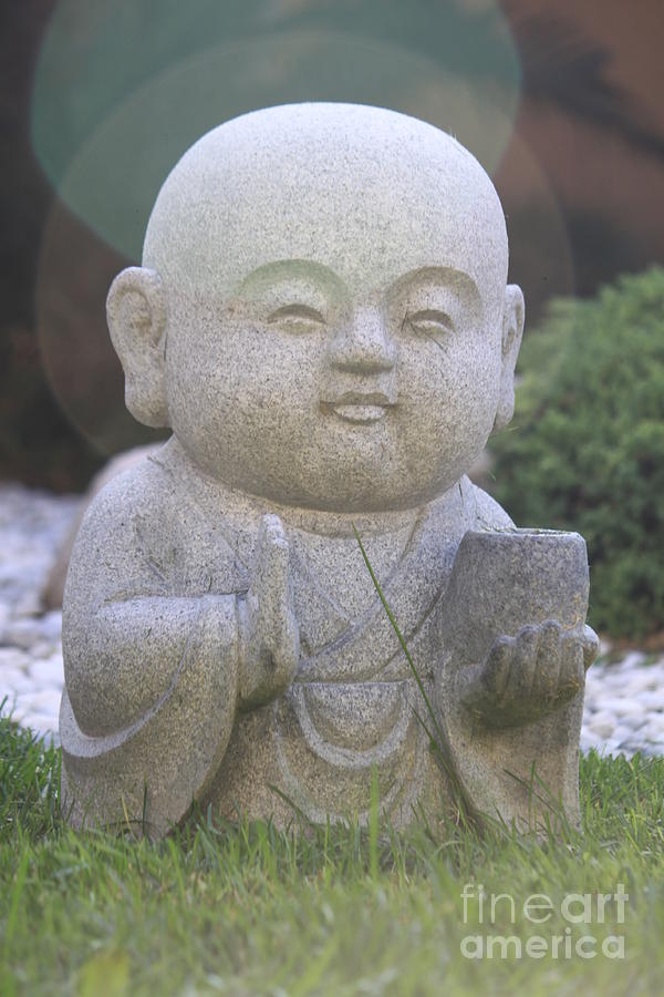 Little Buddha Photograph by Amy Gallagher