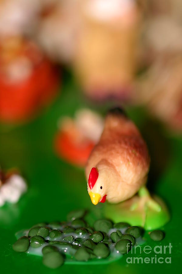 Little Chicken Photograph by Henrik Lehnerer
