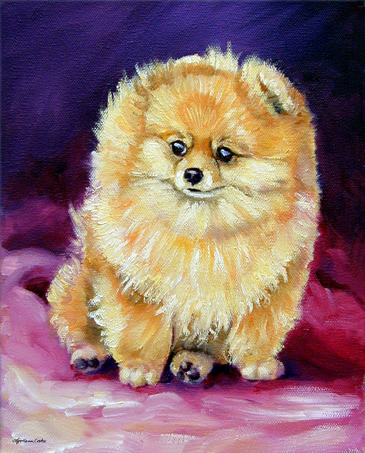 Dog Painting - Little Dude - Pomeranian by Lyn Cook