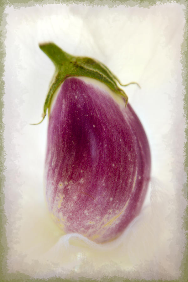 Little Eggplant Photograph by Marilyn Hunt
