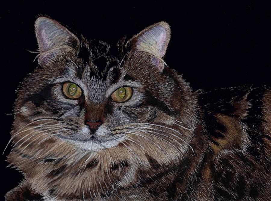 Cat Painting - Little Girl - Maine Coon Cat Painting by Patricia Barmatz Cat Painting - Little Girl - Maine Coon Cat Painting by Patricia Barmatz