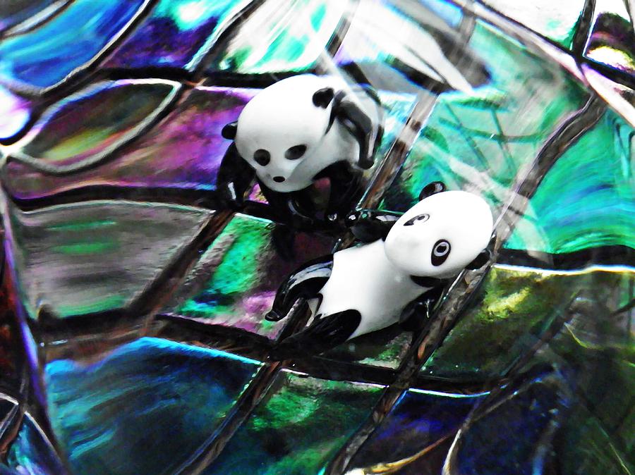 Little Glass Pandas 12 Photograph by Sarah Loft