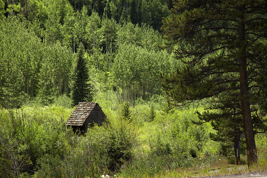 Tree Photograph - Little House - Vail by Madeline Ellis