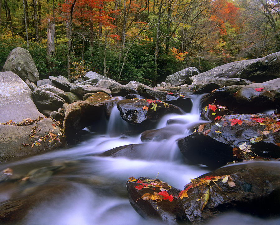Little Pigeon River Cascading Among Photograph by Tim Fitzharris