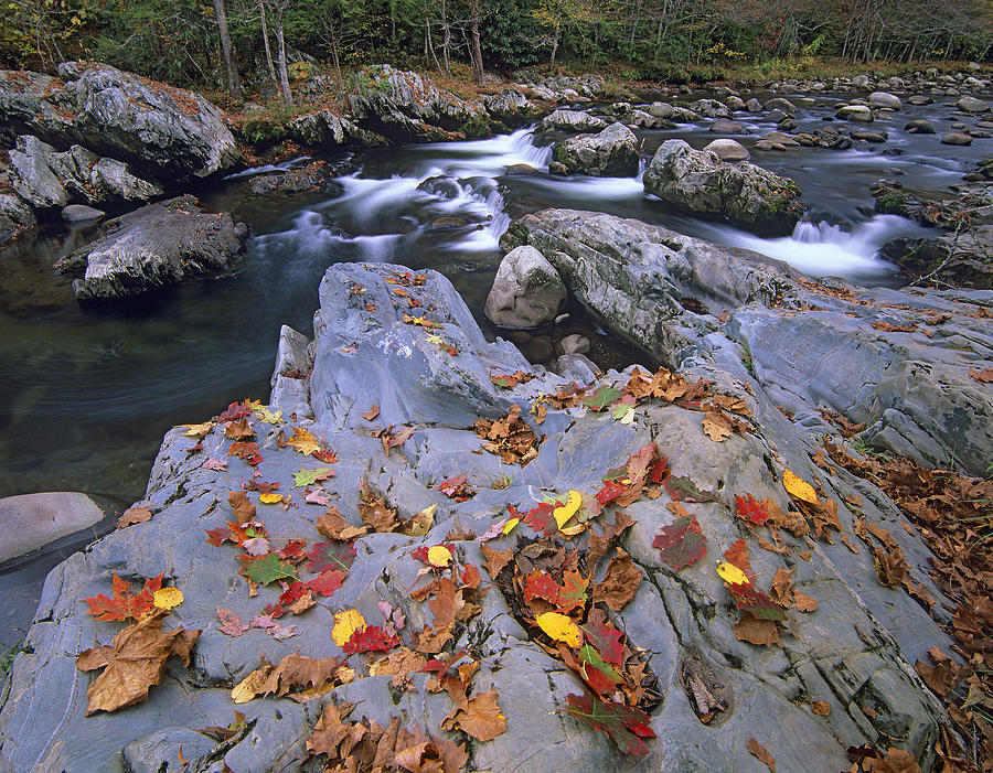 Little Pigeon River Great Smoky Photograph by Tim Fitzharris