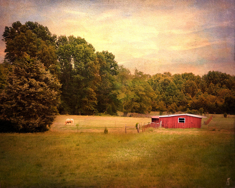 Little Red Barn Photograph by Jai Johnson