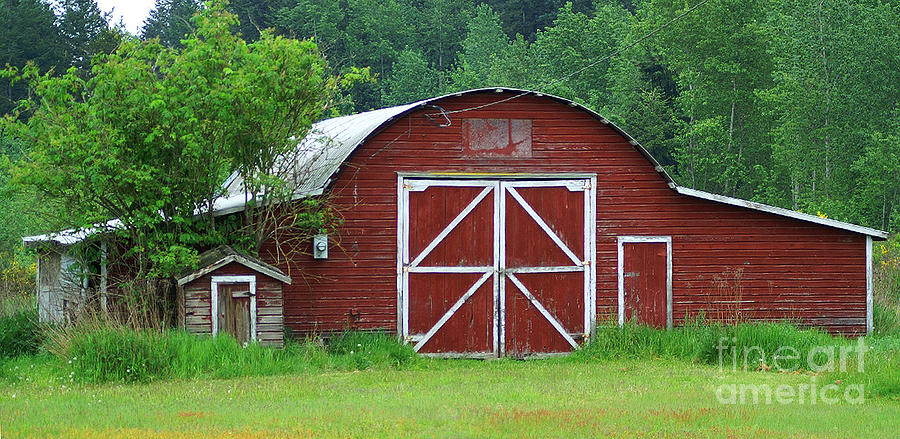Little Red Barn Photograph by Randy Harris
