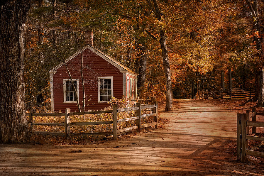 Little Red House Photograph by Robin-Lee Vieira