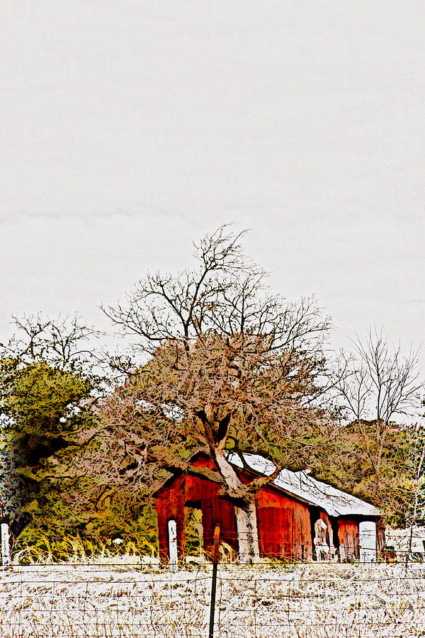 Tree Photograph - Little Red Shanty - No. 351 by Joe Finney