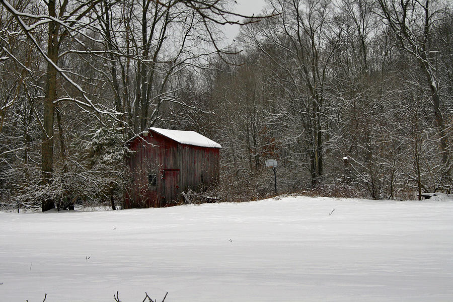 Little Red Shed Photograph by Richard Gregurich