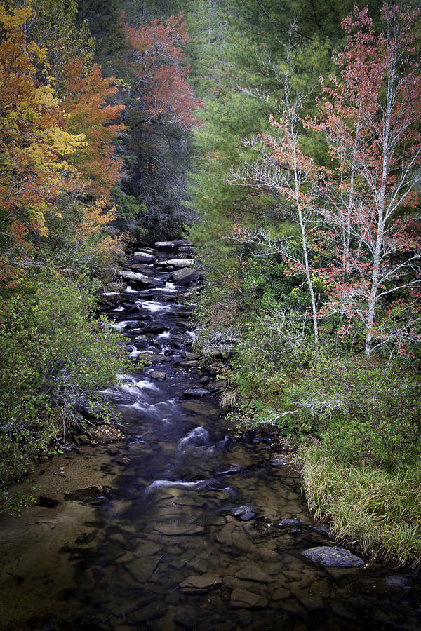 Little River - North Carolina Autumn Scene Photograph by Rob Travis