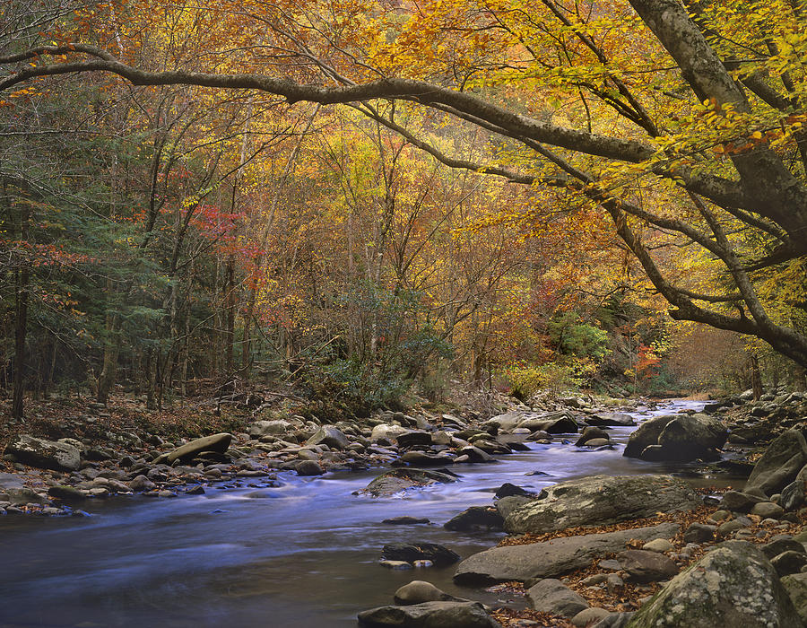 Little River Flowing Through Autumn Photograph by Tim Fitzharris