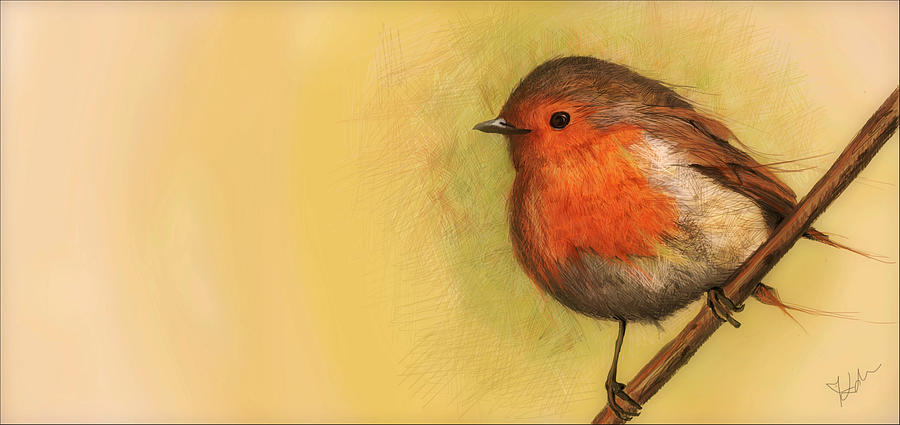 Bird Digital Art - Little song by Zdralea Ioana