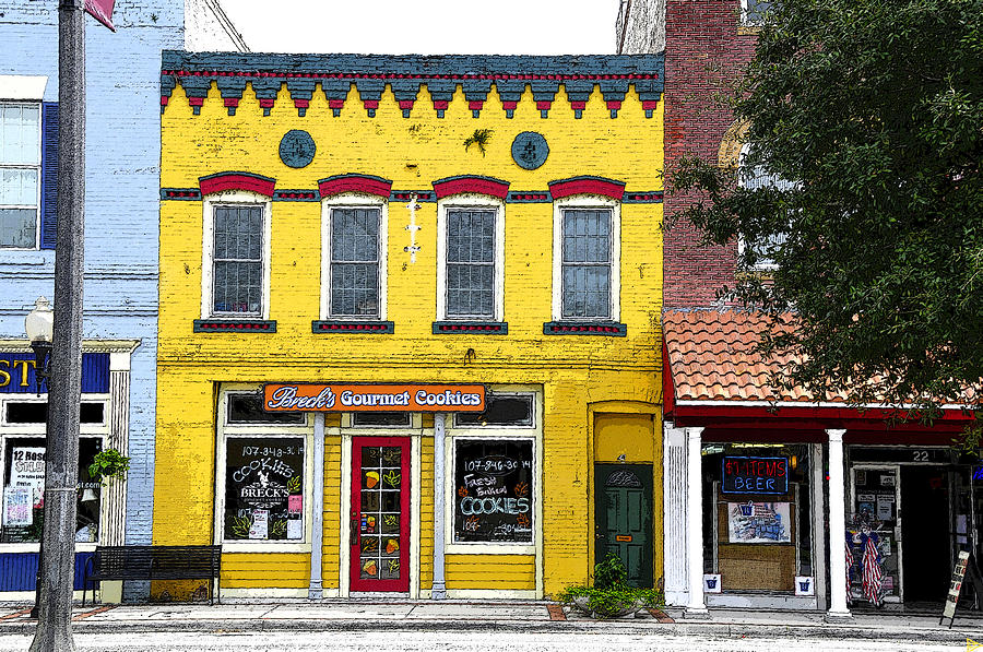 Little  Yellow Store Painting by David Lee Thompson