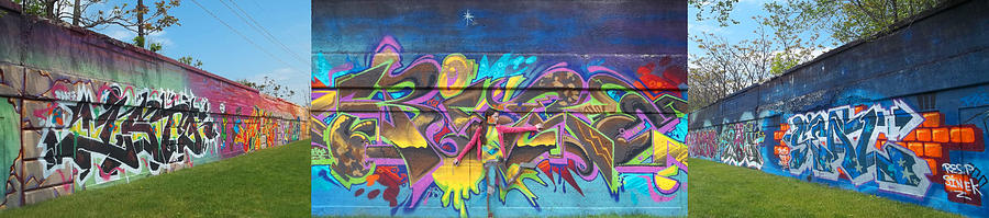 Live Graffiti Triptych Photograph by Anne Cameron Cutri