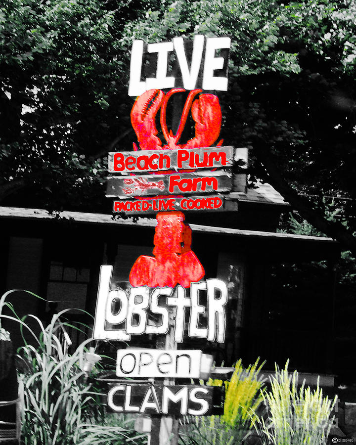 Live Lobster Kennebunkport ME Digital Art by Lizi Beard-Ward