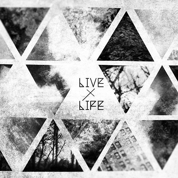 Live Yo Life! :) Photograph by Phillip Martin
