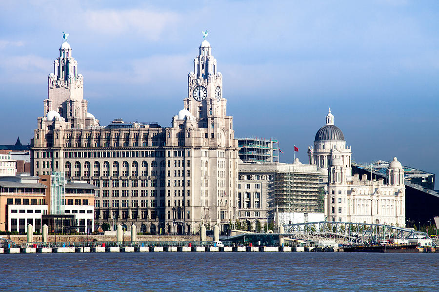 Bird Photograph - Liverpool Three Graces by Peter Chadwick