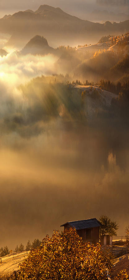 Living in Heaven II Photograph by Albena Markova - Fine Art America