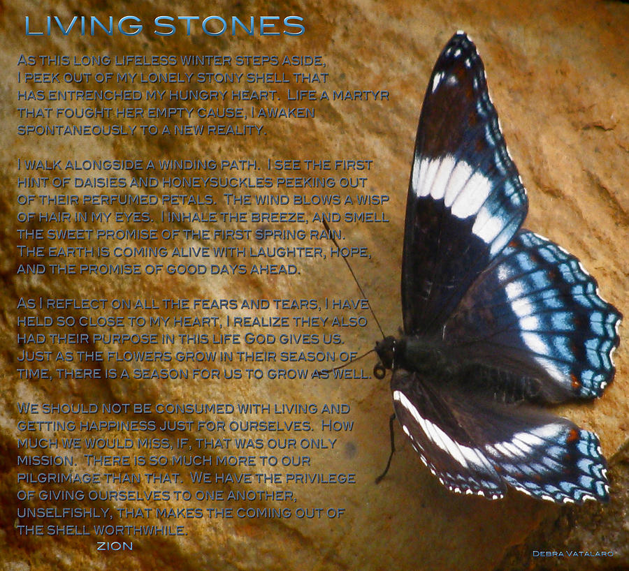 Living Stones Poem Photograph by Debra     Vatalaro