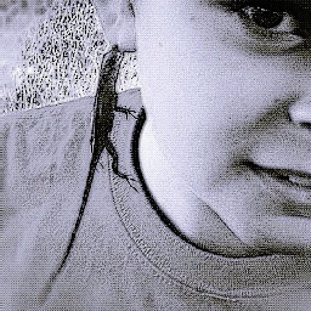 Earring Photograph - #lizard #couture by Debi Tenney