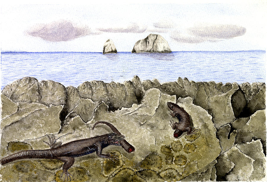 Lizard eating tail Painting by Zaida Ortega Fine Art America