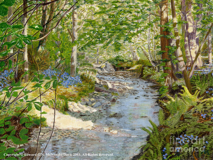 Bluebell Woodland Stream Welsh Landscapes Painting by Edward McNaught-Davis
