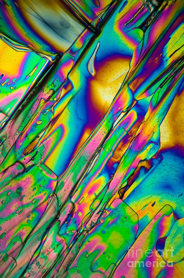 Lm Of Tartaric Acid Crystal Photograph by Raul Gonzalez Perez