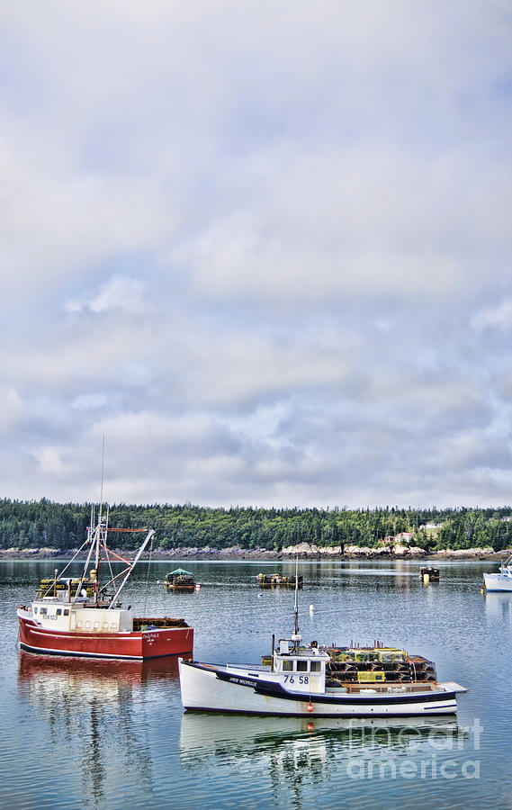 Lobster Boats Photograph by Traci Cottingham