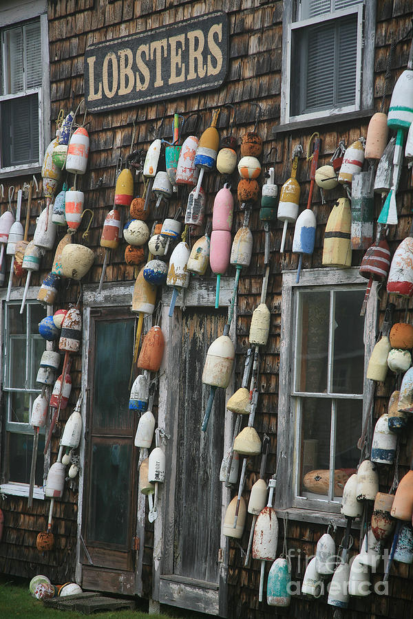 Lobster Buoys Photograph by Timothy Johnson