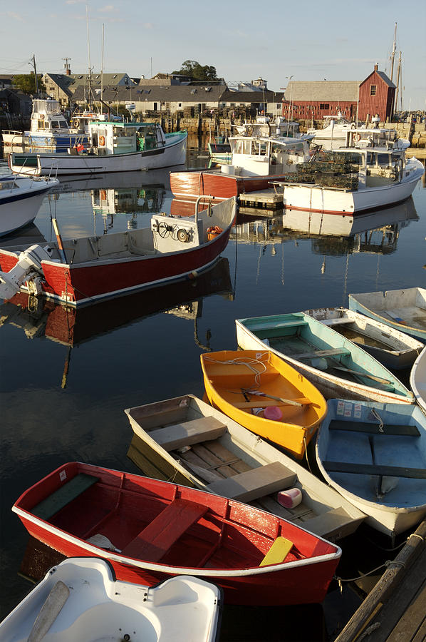 Lobster Fishing Boats And Row Boats Photograph by Tim Laman