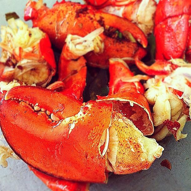 Food Photograph - Lobster For One - #foodporn #food by Liza Mae | Luxavision