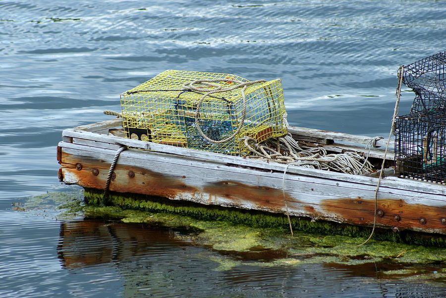 Lobster Traps Photograph by Lois Lepisto