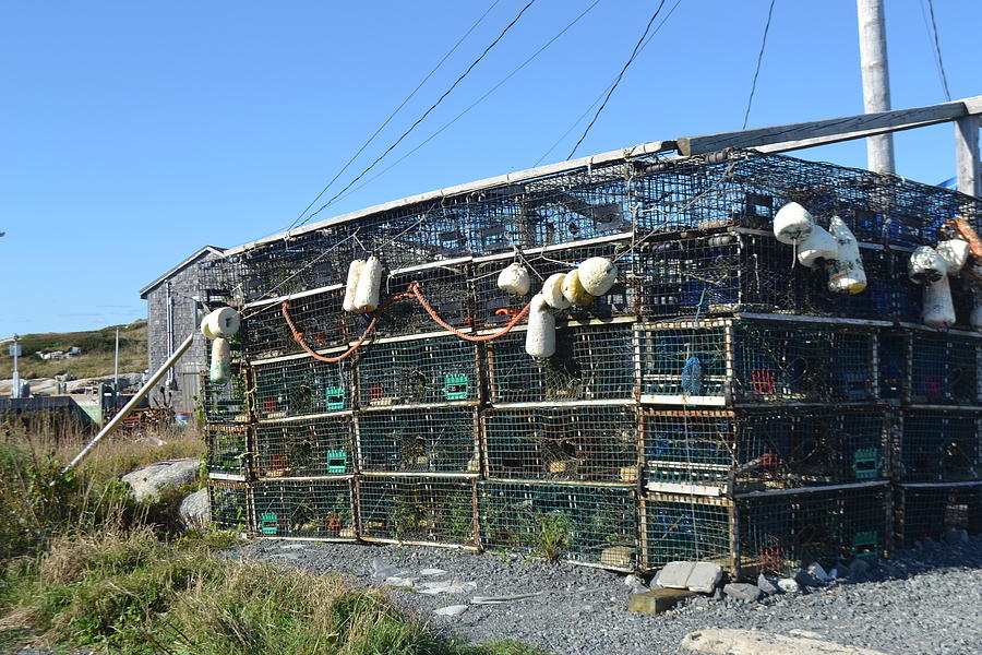 Lobster Traps Photograph by Nancy Sisco