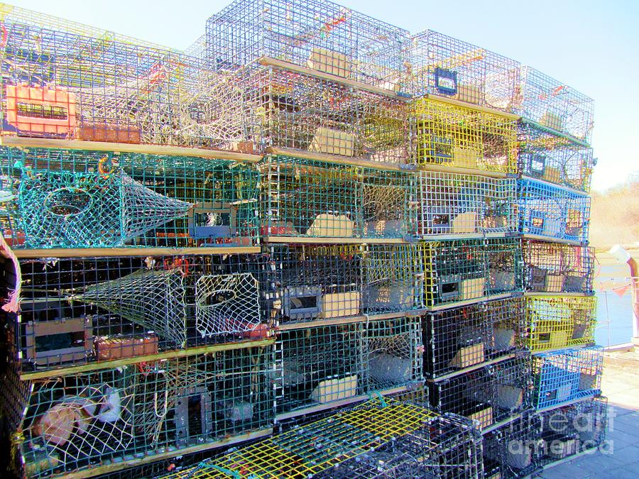 Lobster Traps Photograph by Susan Carella