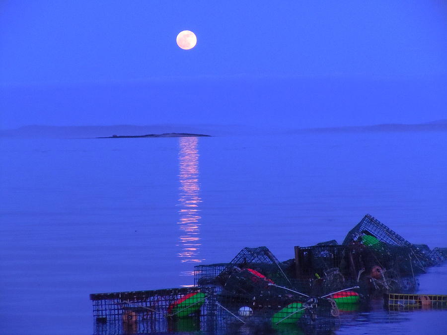 Lobstering Moon Photograph by Francine Frank