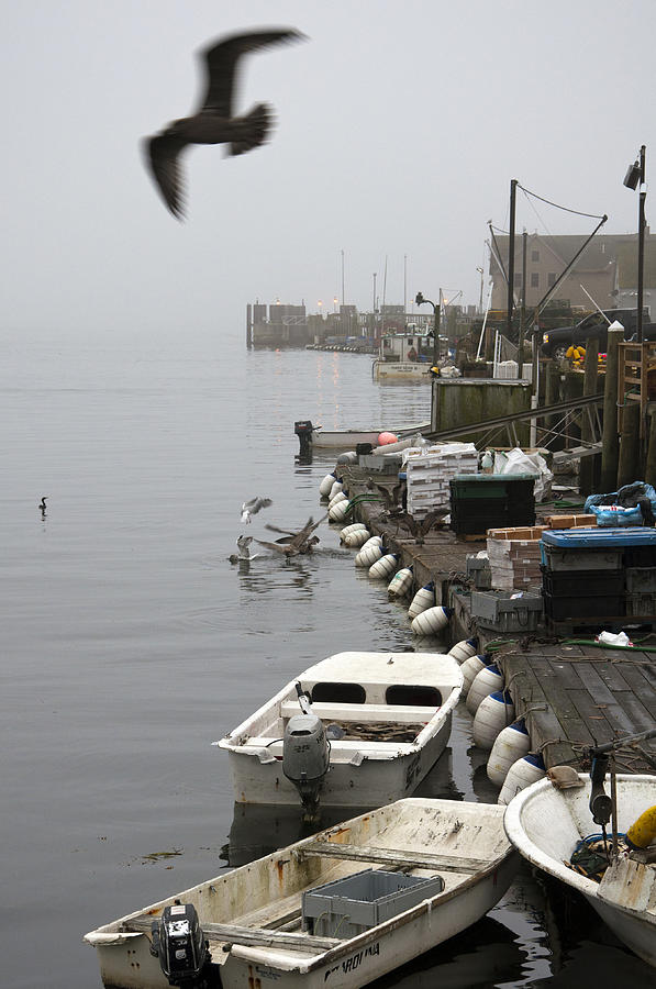 Lobstermens Wharf Photograph by Glenn Gordon