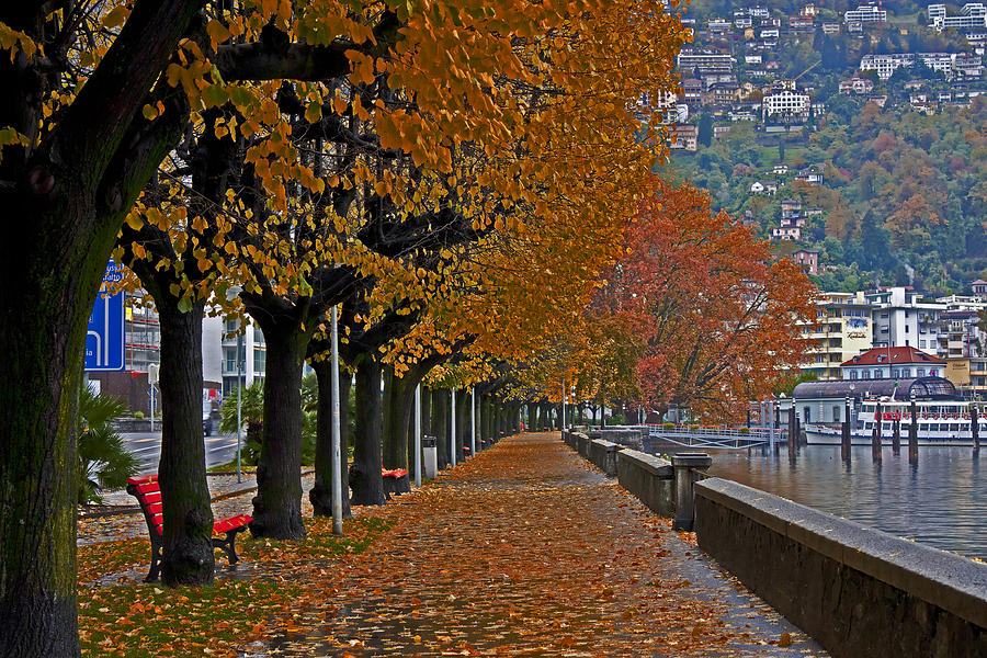 Tree Photograph - Locarno in autumn by Joana Kruse
