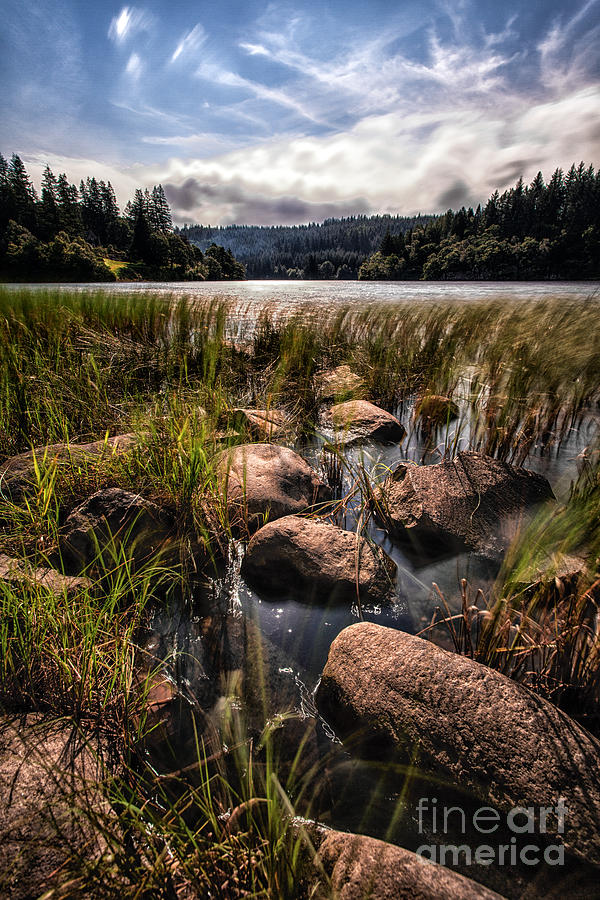 Landscape Photograph - Loch Ard From the Reed Beds by John Farnan