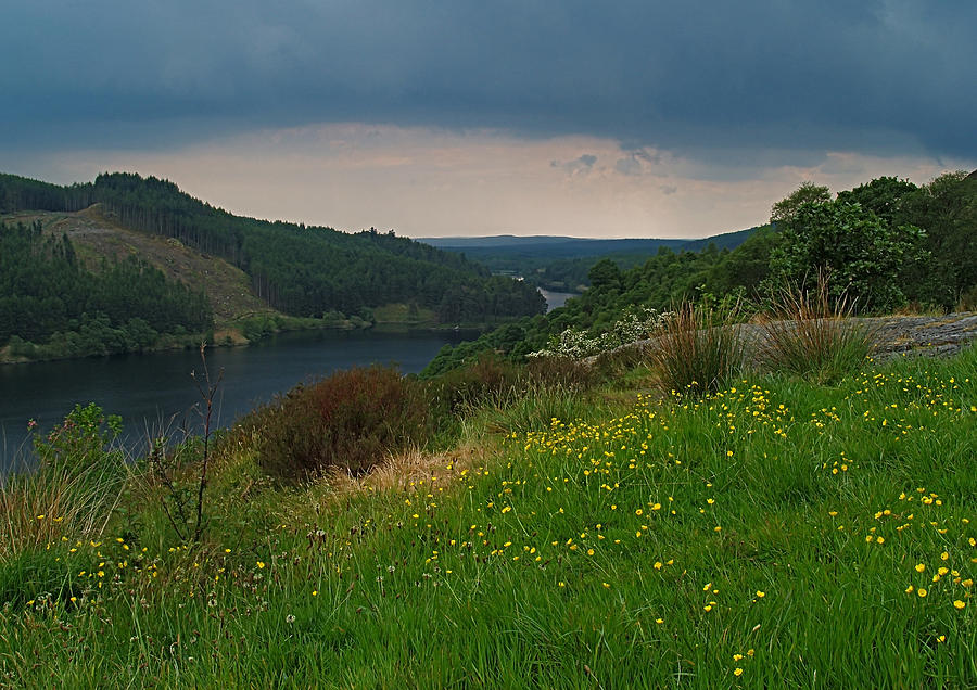 Loch Photograph - Loch Trool by Steve Watson Loch Photograph - Loch Trool by Steve Watson