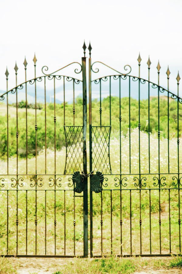 Locked Gate Photograph by Grant Faint